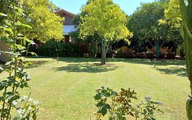 Bahce Villa